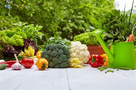 Vegetable Gardening for Beginners: A Delightful Journey into Nature's Bounty